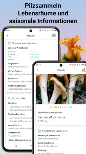 Pilzidentifikator screenshot
