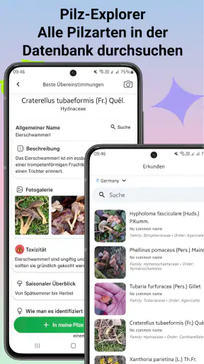 Pilzidentifikator screenshot