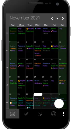 Pocket Informant screenshot
