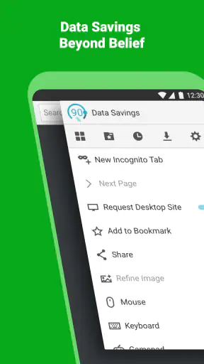 Puffin-Webbrowser screenshot