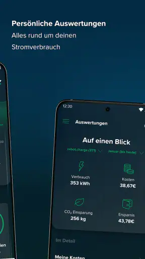 rabot.energy screenshot
