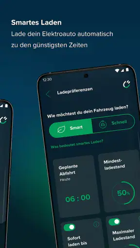 rabot.energy screenshot