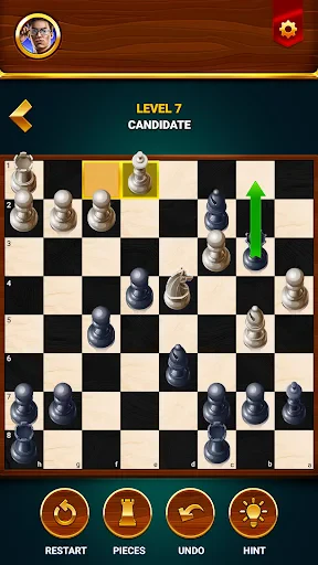 Schach - Offline Brettspiel screenshot