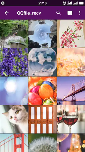 Smart Gallery Pro - Quick Pic screenshot