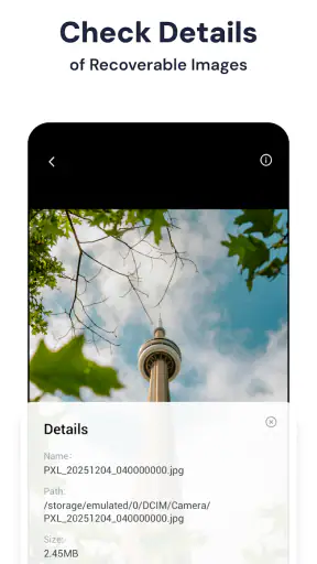 StellarRecovery screenshot