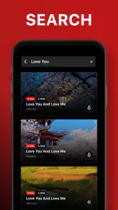 Video Downloader screenshot