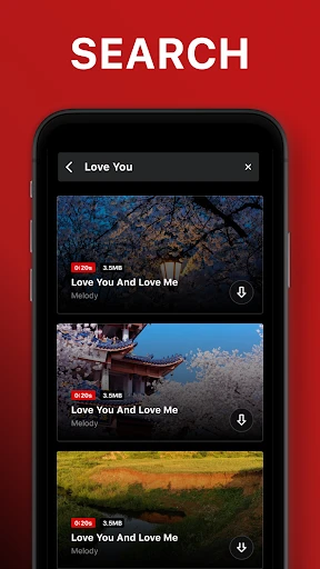 Video Downloader screenshot