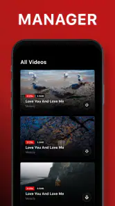 Video Downloader screenshot