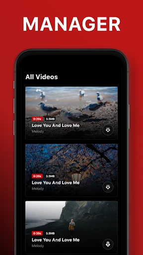 Video Downloader screenshot