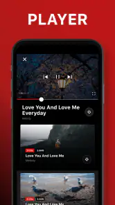 Video Downloader screenshot
