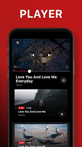 Video Downloader screenshot