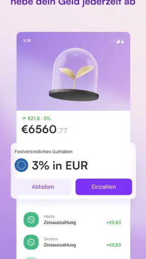 Vivid Business und Personal screenshot