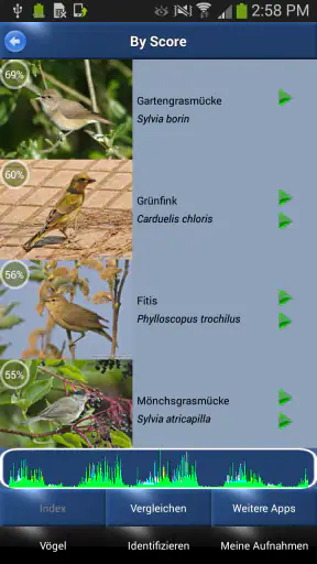 Vogelstimmen Id - Ruf + Gesang screenshot