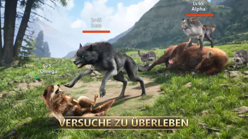 Wolfsspiel screenshot