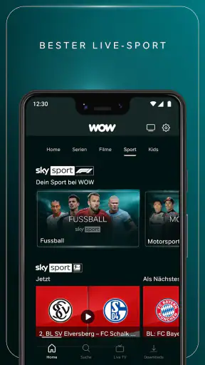 WOW screenshot