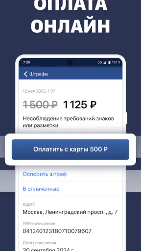 Штрафы ГИБДД: проверка с фото screenshot