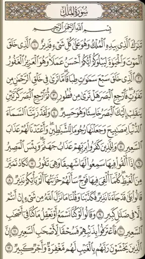 القرآن الكريم مع تفسير ومعاني  screenshot