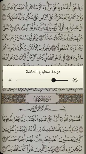 القرآن الكريم مع تفسير ومعاني  screenshot