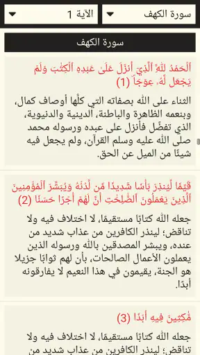 القرآن الكريم مع تفسير ومعاني  screenshot