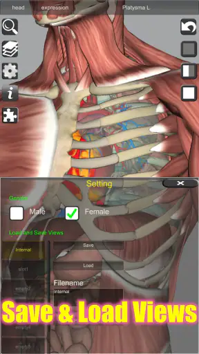 3D Bones and Organs (Anatomy) screenshot