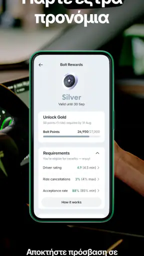 Bolt Driver screenshot