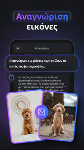 Gemmy AI: Συνομιλία & Βοηθός screenshot