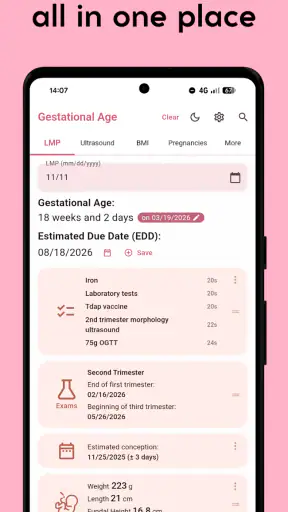 Gestational Age (baby's age) screenshot