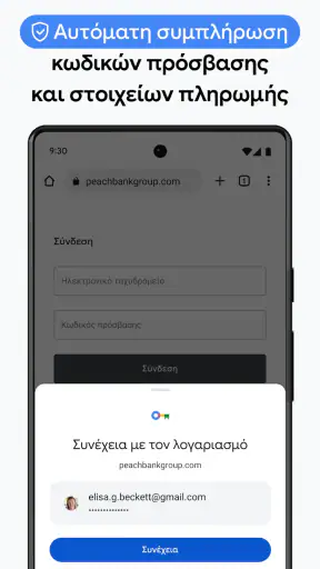 Google Chrome screenshot