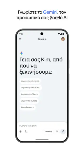 Google Gemini screenshot