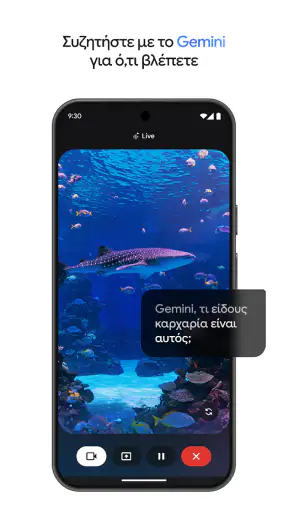 Google Gemini screenshot
