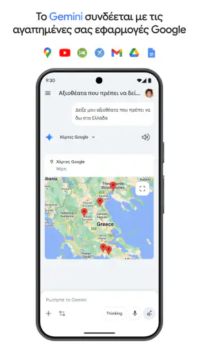 Google Gemini screenshot