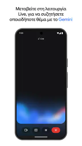 Google Gemini screenshot