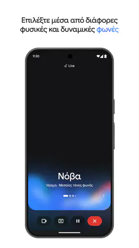 Google Gemini screenshot