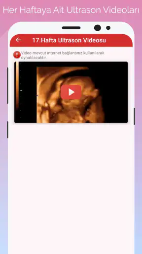 Gün Gün Gebelik Takibi screenshot
