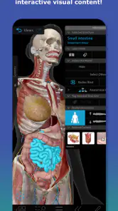 Human Anatomy Atlas 2026 screenshot