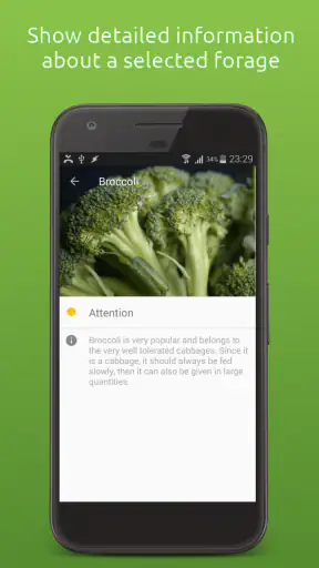 My Rabbit Feeding Guide screenshot