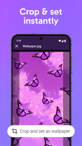Purple Wallpapers: Backgrounds screenshot