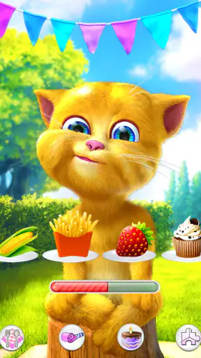 Talking Ginger 2 screenshot