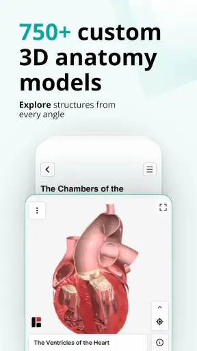 Teach Me Anatomy screenshot