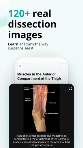 Teach Me Anatomy screenshot