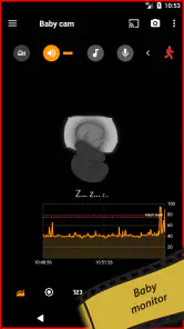 tinyCam Monitor PRO screenshot