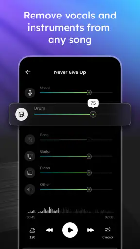 Vocal Remover - Musiclab screenshot