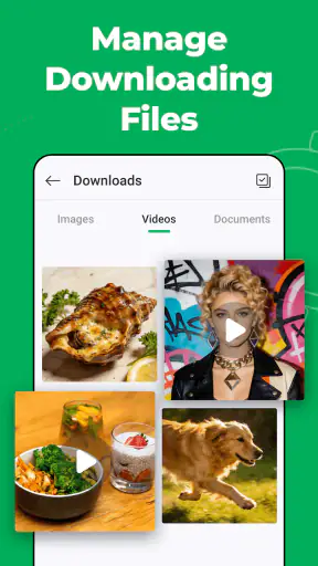 Web Scanner - Dual App screenshot