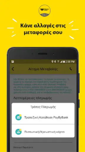 Western Union - PayLink screenshot