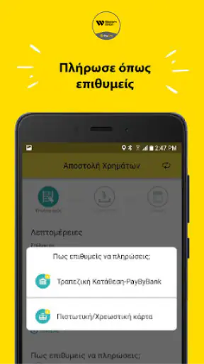 Western Union - PayLink screenshot