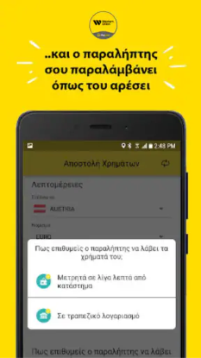 Western Union - PayLink screenshot