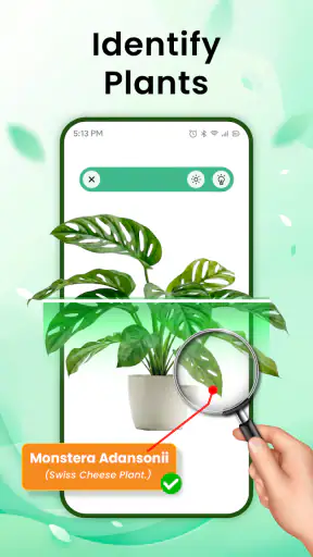 Αναγνωριστικό Φυτού: Plant App screenshot