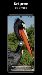 Βίντεο AI - Αγκαλιές και Φιλιά screenshot
