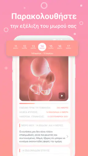Εγκυμοσύνη: pregnancy screenshot