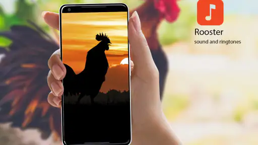 Κόκορας Ringtones screenshot